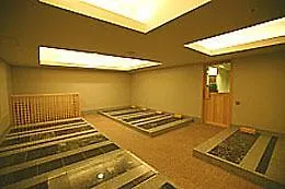 Fuji View Shin Yokohama Spa & Residence Hotel Yokohama (Kanagawa)